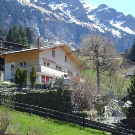 Viola 2 Bett Wengen